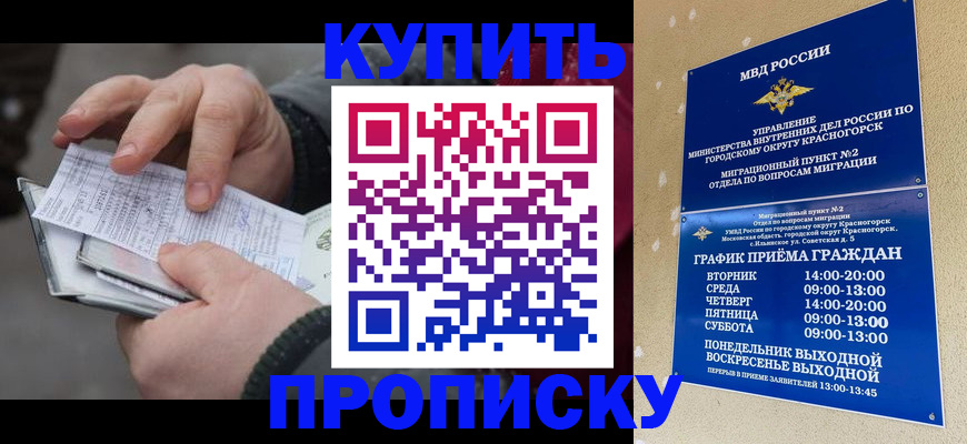 временная регистрация недорого в Звенигово